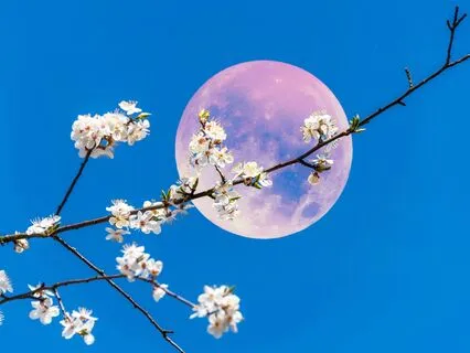 Flower Moon Spiritual Growth |  210.42 + 333 Hz Tuning Forks