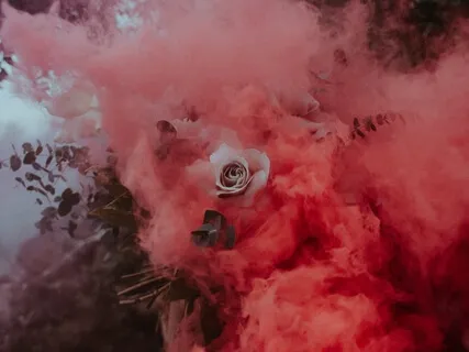 Flowers In The Heart (Live Piano Part II) 26 Of Jan 2021