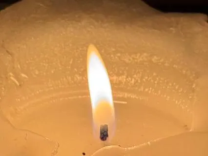 Flowers Of Sporot From Spirit