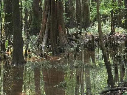 Flowing And Beginning Again