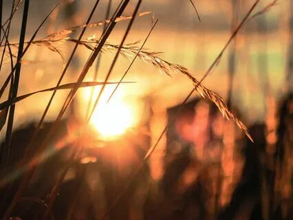 Flowing Energy Meditation To Awaken Your Creativity