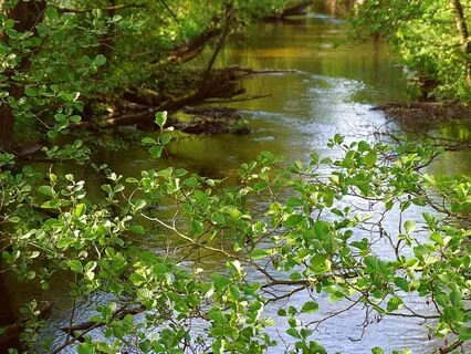 Sing: Let The Thoughts Come And Go