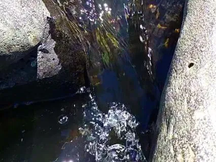 Flowing Light, Flowing Life