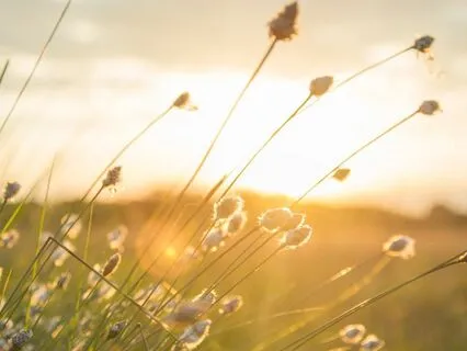 Flowing Light Healing Meditation For Sensitive Systems