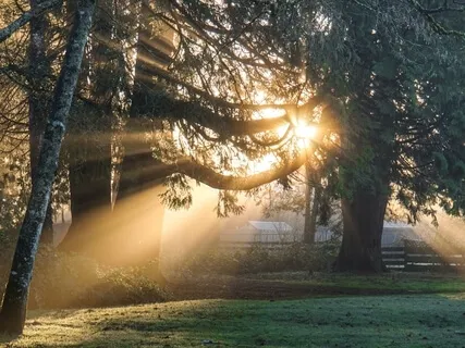 Flowing Love And Light