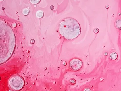 Flowing Pink Passion: Sacral Serenity Meditation