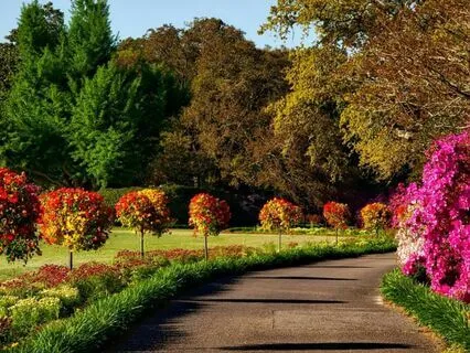 Flowing Through Stillness