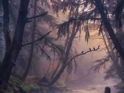 Flowing Water Sounds for Meditation