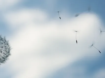 Flowing Wind - Cosmic Harp & Uplifting Voice