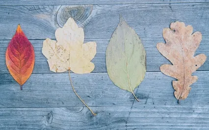 Flowing With Change