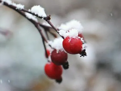 Flowing With Life's Unexpected Turns - Jan 12