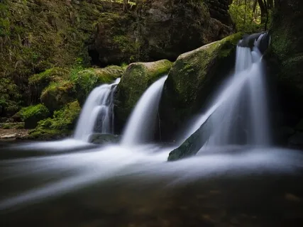 Flowing With Life