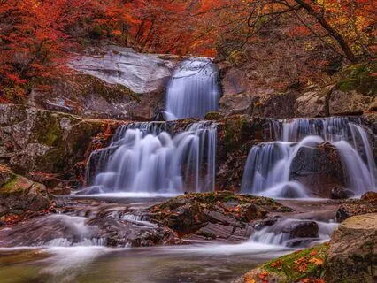 Flowing With The Wind Gates
