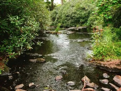 Flowing With Water And Breath