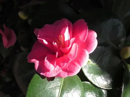 Flush The Ego Out Of The Body - Advaita Body-Scan