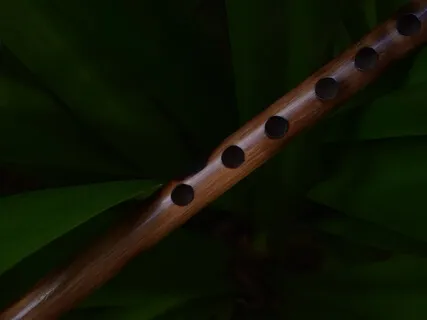 Indigenous Flute & The Sea