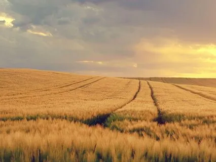 Flute Healing: Clean Your Mind With the Sacred Wind