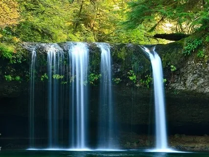 Flute Meditation: Bardo