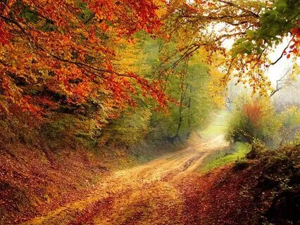 Flute Meditation, Joyful Thoughts.