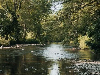 Flute Meditation | Oriental River