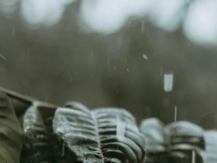 Flute Meditation, The Coming Of The Rain