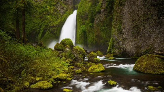 Flute Meditation With Tibetan Bowls - 20min Daily Insight