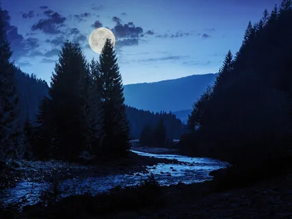 Flute Music - Stream