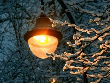 Flute Of The Winter Night