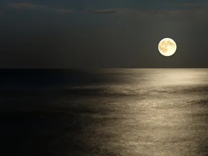 Flute, Orch - Shine At Night