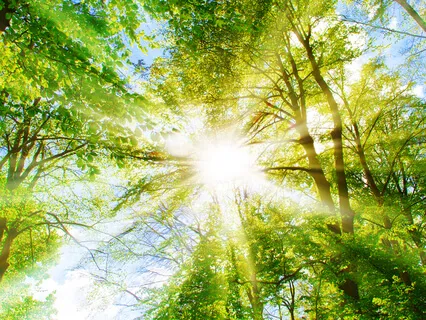 Flute, Orch - Silence Over Wide Open Land