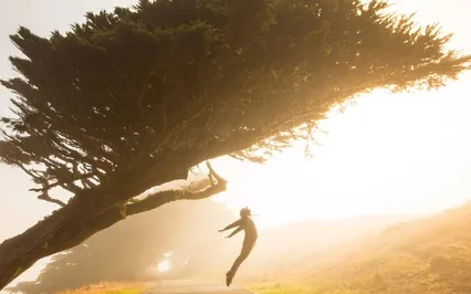 Fly High - Atmospheric Healing Journey