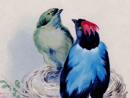 Fly Like A Bird Children's Sleep Relaxation