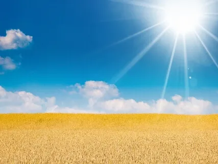 Flying With A Golden Wind