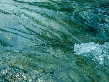 Focus And Acceptance