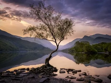 Focus And Breathe: Anxiety Reduction