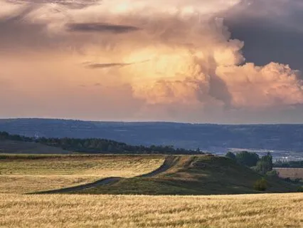 Focus And Calm: Melodic Ease