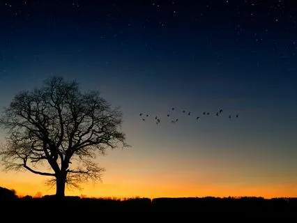 Focus And Concentration Boost: Mindful Meditation