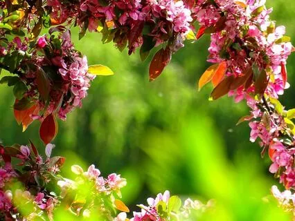 Focus And Flow - Concentration Concerto