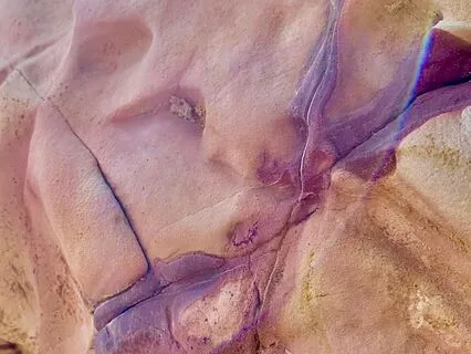 Focus And Reflect (60Hz Gamma)