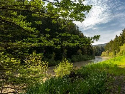 Focus And Relax: Calm Concentration