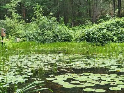 Focus And Sensing Exercise - 30min Version