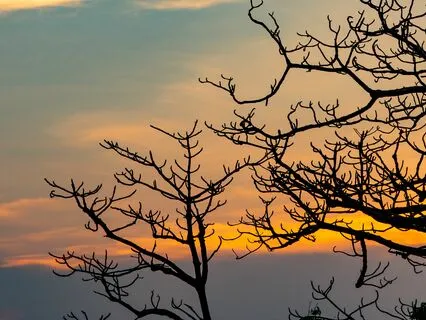 Focus And Unwind: Relaxed Concentration