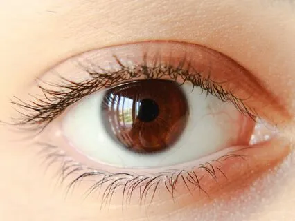 Focus Boost: Alpha Waves To Sharpen Your Concentration