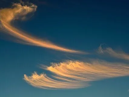 Focus Breath Meditation