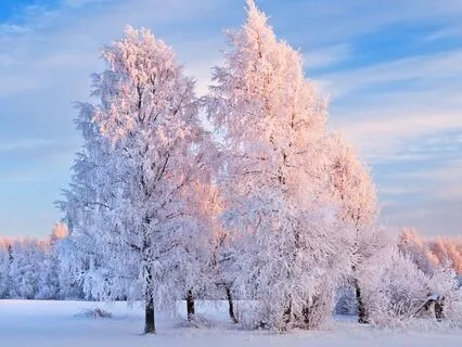 Focus & Concentration: 11Hz Waves For Deep Productivity