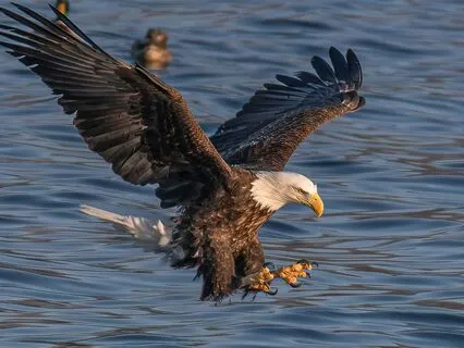 Focus, Confidence And Flow: A 7-Minute Box Breathing