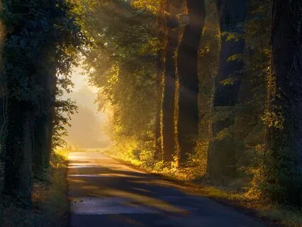 Focus Flow For Remote Work