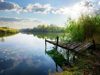 Focus Flow: Music For Concentration And Calm