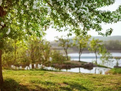 Focus Flow: Relaxed And Centered