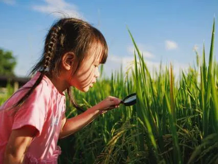 Focus Focuses... And Where Attention Goes, Reality Grows.